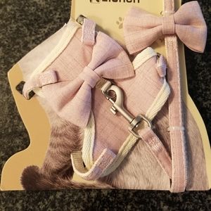 Harness and leash